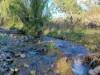 279 Molesworth Road, Molesworth, Tas 7140-Image