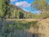 279 Molesworth Road, Molesworth, Tas 7140-Image