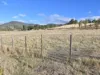 279 Molesworth Road, Molesworth, Tas 7140-Image