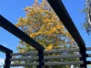 27A Park Street, Seaford, Vic 3198-Image