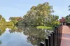 27B Farina Drive, Yokine, WA 6060-Image