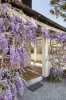 28 - 32 Beaconsfield Road, Chatswood, NSW 2067-Image