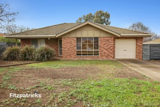 28 Avocet Drive, Estella, NSW 2650