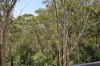 28 Barons Crescent, Hunters Hill, NSW 2110-Image