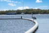 28 Bay Drive, Jacobs Well, Qld 4208-Image