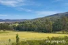 28 Betts Road, Neika, Tas 7054-Image