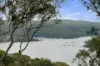 28 Birubi Crescent, Bilgola Plateau, NSW 2107-Image