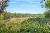 28 Broomfield Crescent, Long Beach, NSW 2536-Image