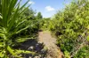 28 Cooroibah Crescent, Tewantin, Qld 4565-Image