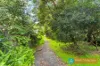 28 Cornelian Road, Pearl Beach, NSW 2256-Image