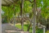 28 Coronation Street, Bellingen, NSW 2454-Image