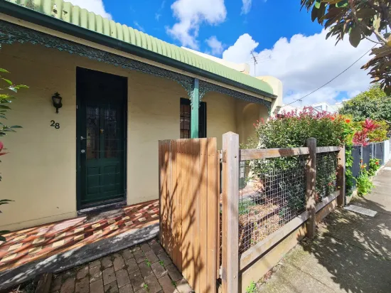 28 Crown Street, St Peters, NSW 2044