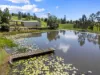 28 Eclipse Court, Lagoon Pocket, Qld 4570-Image