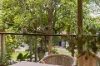 28 Eleventh Avenue, St Lucia, Qld 4067-Image