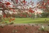 28 Fernhill Promenade, Harrisdale, WA 6112-Image