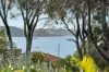 28 Fitzwilliam Road, Vaucluse, NSW 2030-Image
