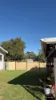 28 Fox Street, Narrogin, WA 6312-Image