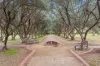 28 Gloucester Terrace, McLaren Vale, SA 5171-Image