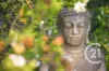 28 Guinea Crescent, Narangba, Qld 4504-Image
