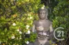 28 Guinea Crescent, Narangba, Qld 4504-Image