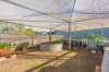 28 Haldanes Road, Alford SA 5555-Image