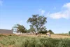 28 Hancock Road, Kapunda, SA 5373-Image