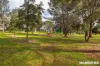 28 Homburg Street, Tanunda, SA 5352-Image