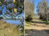 28 Irene Crescent, Eden, NSW 2551-Image