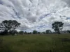 28 Jimbour Street, Jandowae, Qld 4410-Image