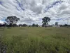 28 Jimbour Street, Jandowae, Qld 4410-Image