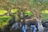 28 Jones Road, Millbrook, WA 6330-Image