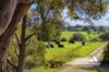 28 Jones Road, Millbrook, WA 6330-Image