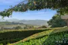 28 Kalang Place, Jerrabomberra, NSW 2619-Image