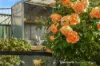 28 Main Street, Cressy, Tas 7302-Image