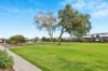 28 McCarron Way, Croydon Park, SA 5008-Image