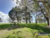 28 Morton Avenue, Lemon Tree Passage, NSW 2319-Image