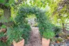 28 Napier Road, Won Wron, Vic 3971-Image