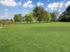 28 Nasmyth Street, Young, NSW 2594-Image
