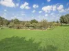 28 Nasmyth Street, Young, NSW 2594-Image