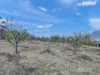 28 Oakbank Road, Otago, Tas 7017-Image