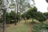 28 Riddell Street, Gatton, Qld 4343-Image
