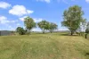 28 Ridge Street, Attunga, NSW 2345-Image