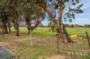 28 Tuart Rise, Gabbadah, WA 6041-Image
