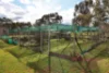 28 Vernon Drive, Cowra, NSW 2794-Image