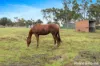 28 View Bank Lane, Riddells Creek, Vic 3431-Image