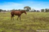 28 View Bank Lane, Riddells Creek, Vic 3431-Image