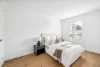 28 Waterloo Street, Rozelle, NSW 2039-Image