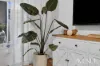 28 Wilson Circuit, Flagstone, Qld 4280-Image