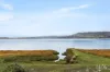 281 Windermere Road, Windermere, Tas 7252-Image