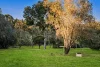 282-290 Curlewis Road, Wallington, Vic 3222-Image